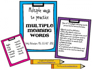 Multiple Ways to Practice Multiple Meaning Words